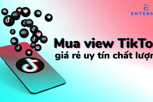 Mua view TikTok giá rẻ uy tín chất lượng