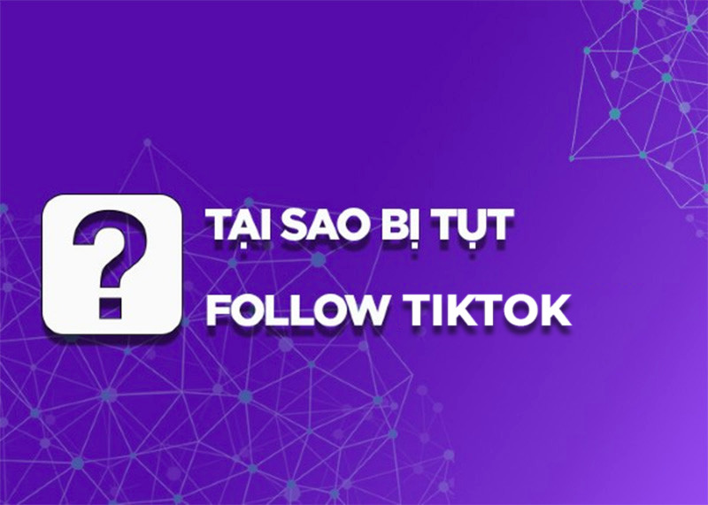tai-sao-follow-tiktok-bi-tut