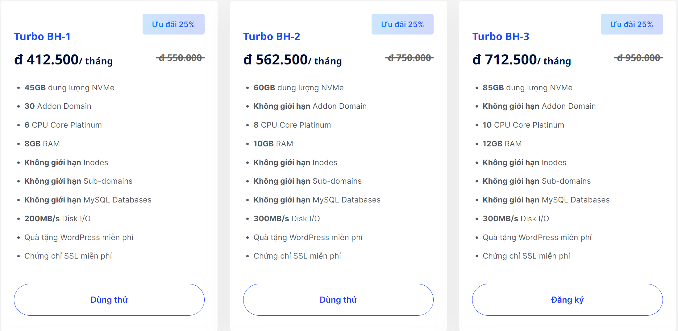 Turbo Business Hosting – Hosting doanh nghiệp cao cấp và mạnh mẽ nhất