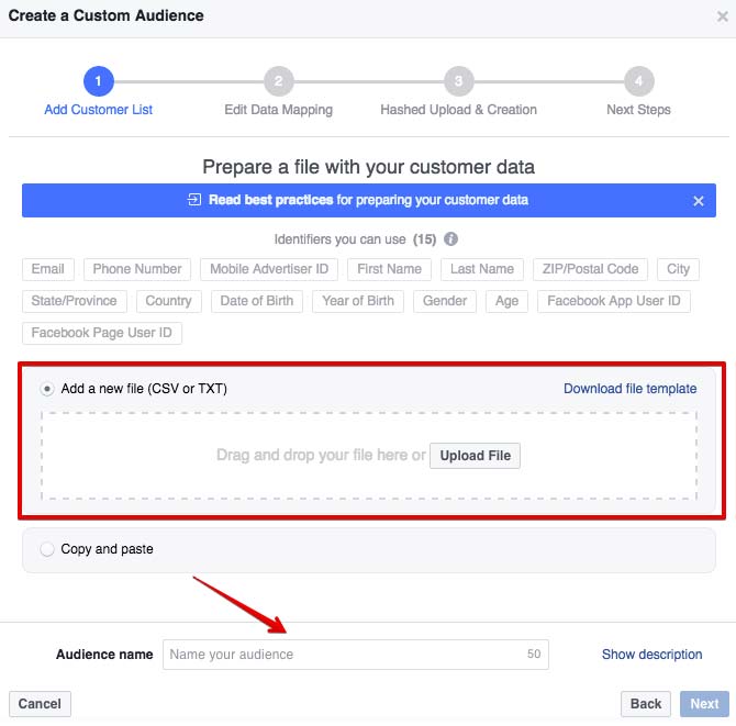 custom-audience-la-gi-4
