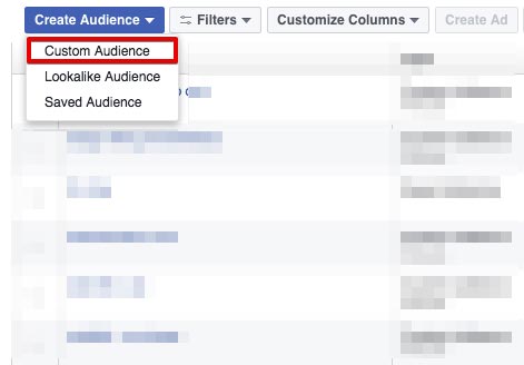 custom-audience-la-gi