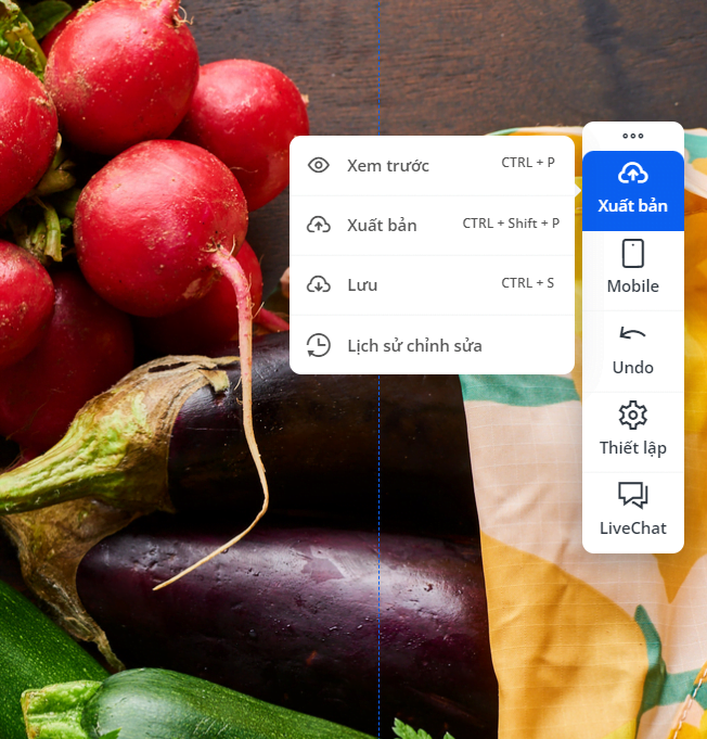 Xuất bản landing page