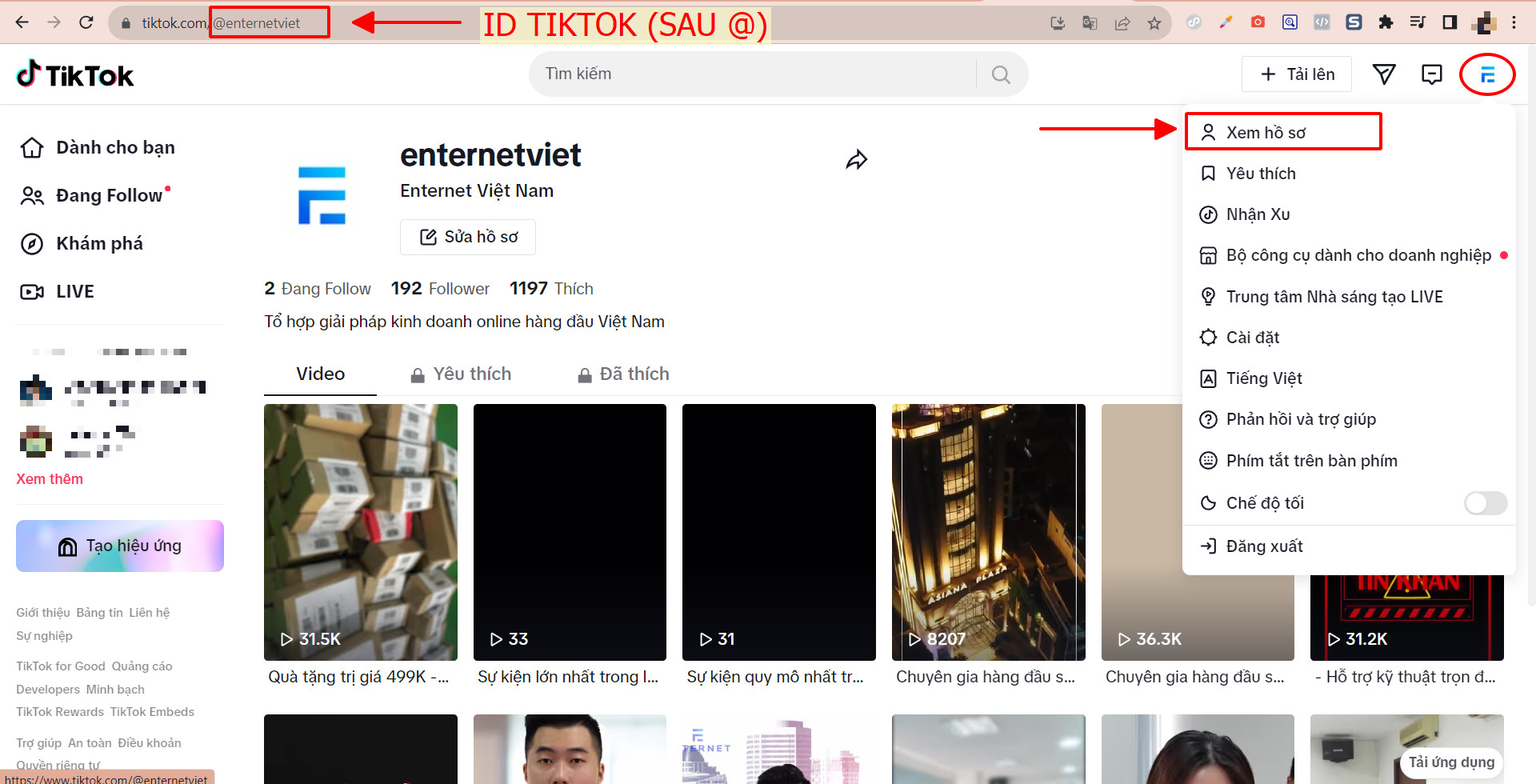 tang-view-tiktok-free-2