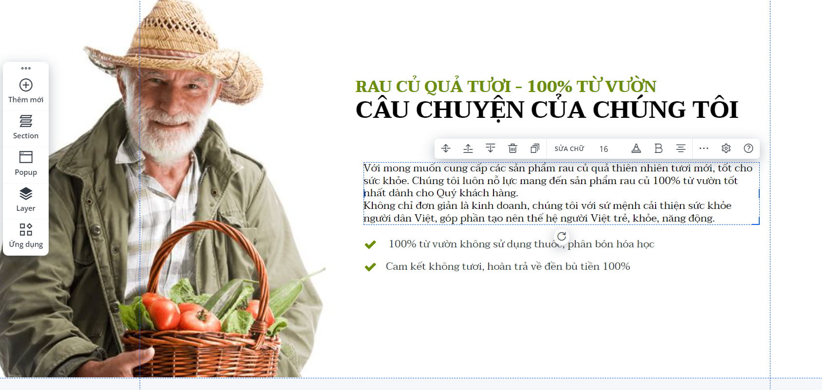 Chỉnh sửa phần mô tả trên landing page