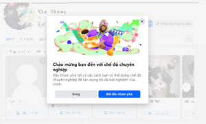 Khám phá chế độ chuyên nghiệp kiếm tiền trên Facebook