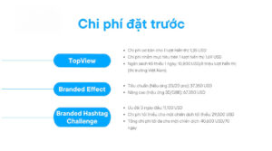 chi-phi-chay-quang-cao-tiktok-2